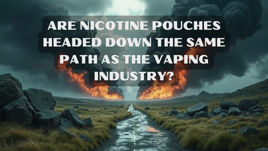 Are Nicotine Pouches Headed Down the Same Path as the Vaping Industry?